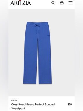 Aritzia jazz blue sweatpants